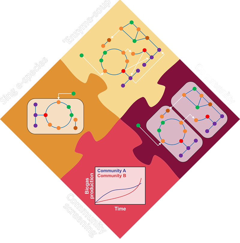 syn-biogas infographic